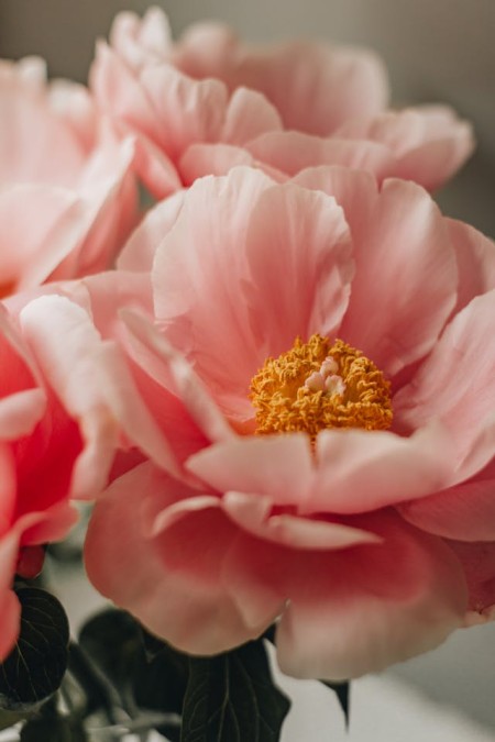 Materiały najlepszej jakości